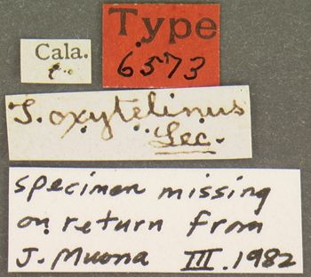 Media type: image;   Entomology 6573 Aspect: labels